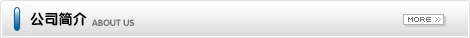 公司簡介